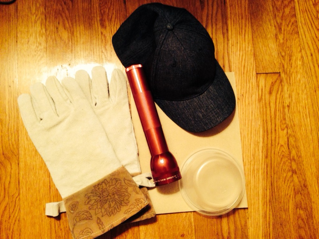 bat kit June 2014