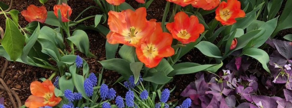 three ways of knowing